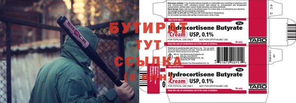шишки Верея