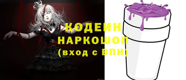 mdpv Бородино