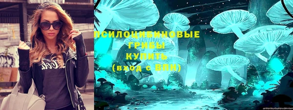 шишки Верея