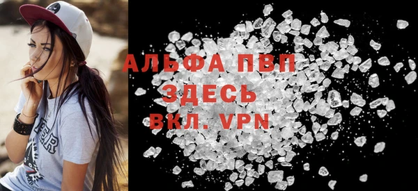 шишки Верея