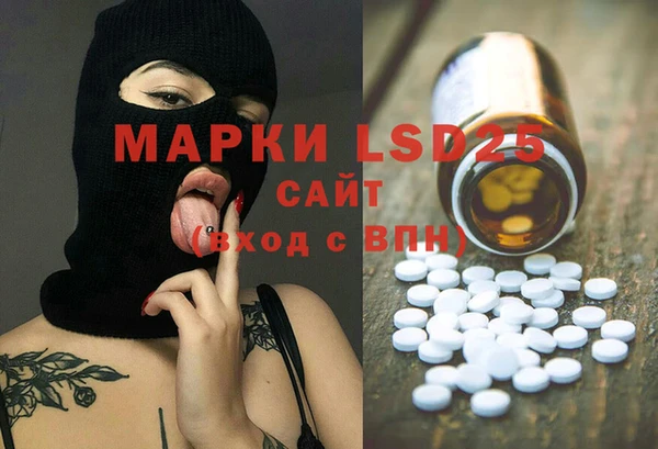 шишки Верея