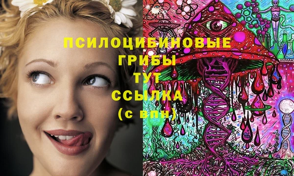 мдпв Пересвет